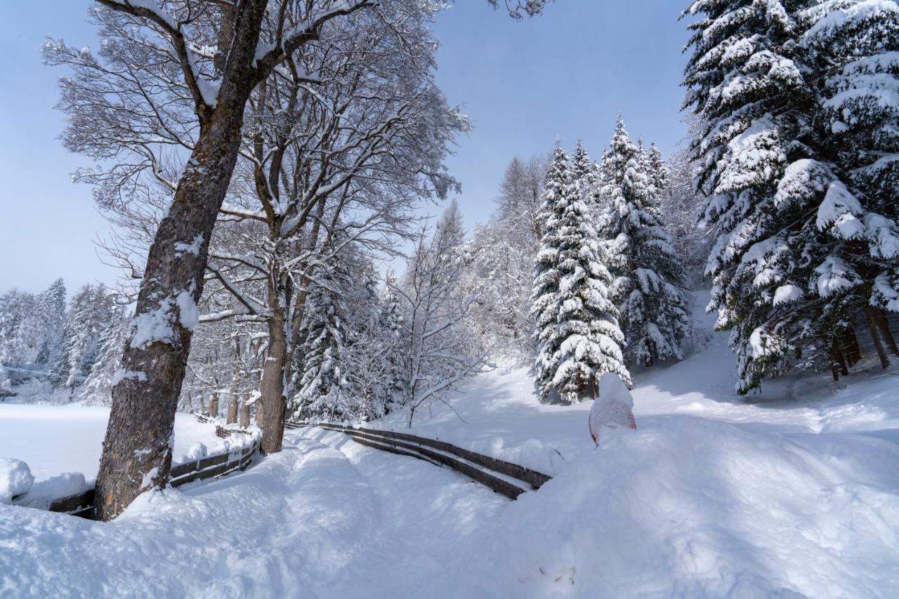 Chalet Traumblick Mauterndorf  Ngoại thất bức ảnh