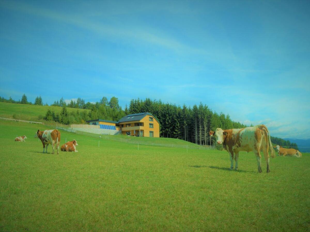 Chalet Traumblick Mauterndorf  Ngoại thất bức ảnh